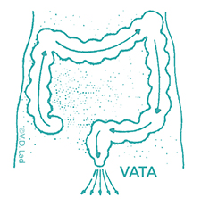 Basti diagram