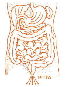 Virechan diagram